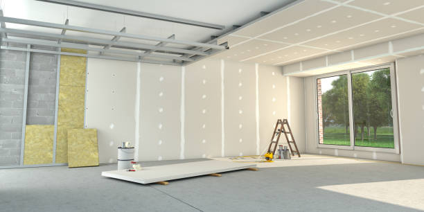 Best Insulation Installation Services in El Cenizo, TX