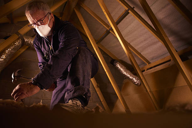 Best Insulation for Specific Applications in El Cenizo, TX